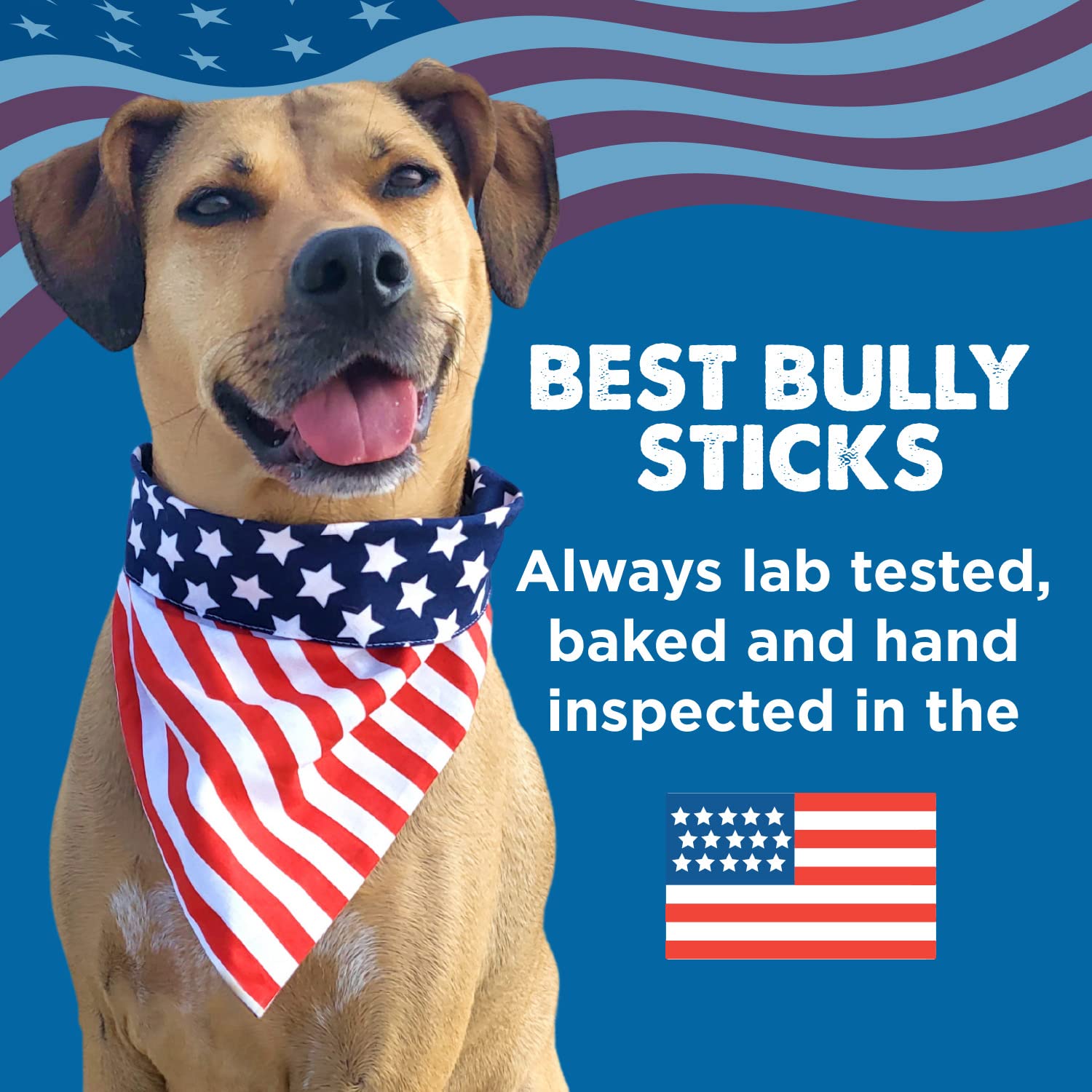 Best Bully Sticks etiqueta de ingredientes mostrando 100% carne vacuna y pureza