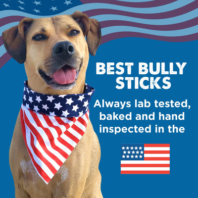 Best Bully Sticks etiqueta de ingredientes mostrando 100% carne vacuna y pureza