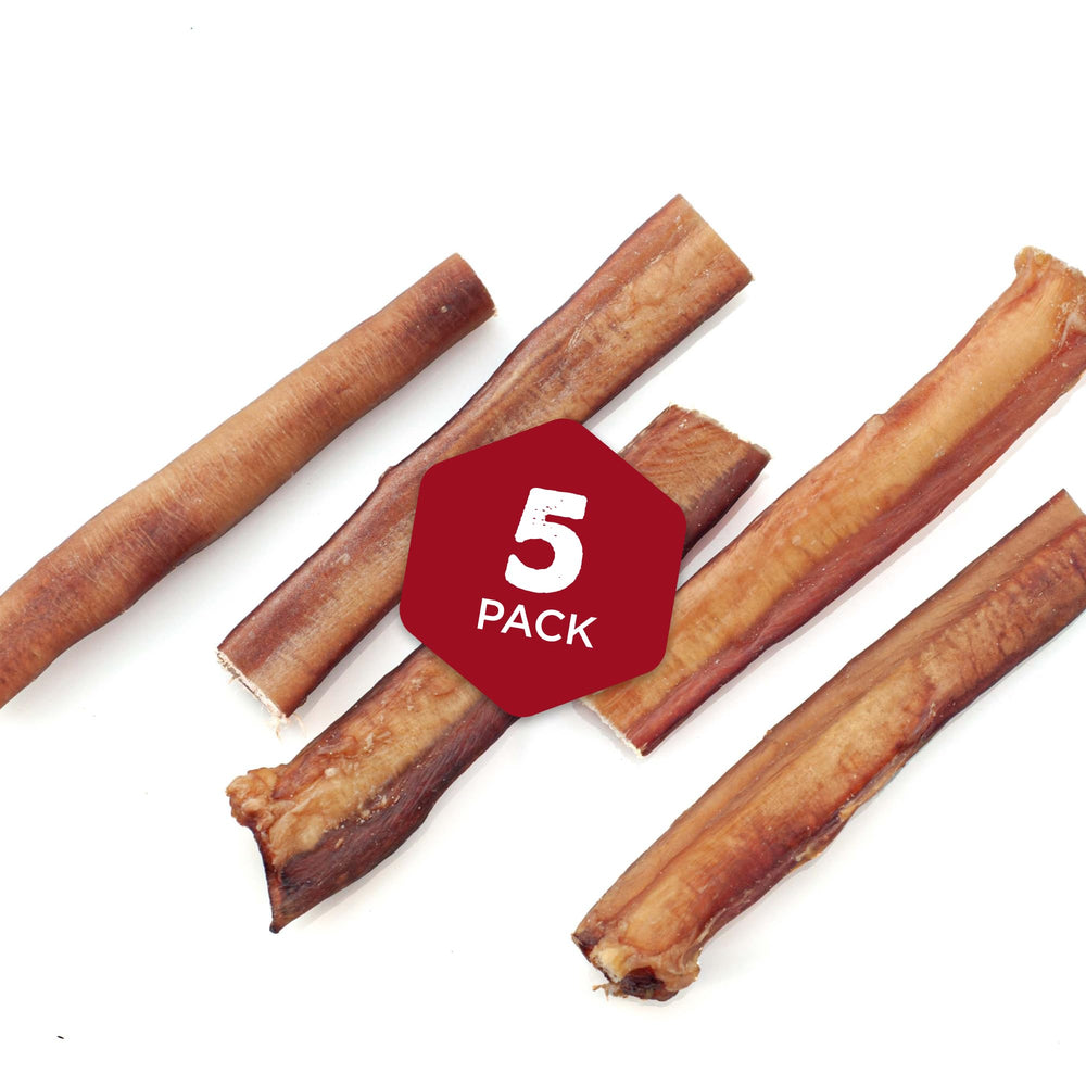 Best Bully Sticks textura cercana que ilustra densidad y duración de la masticación