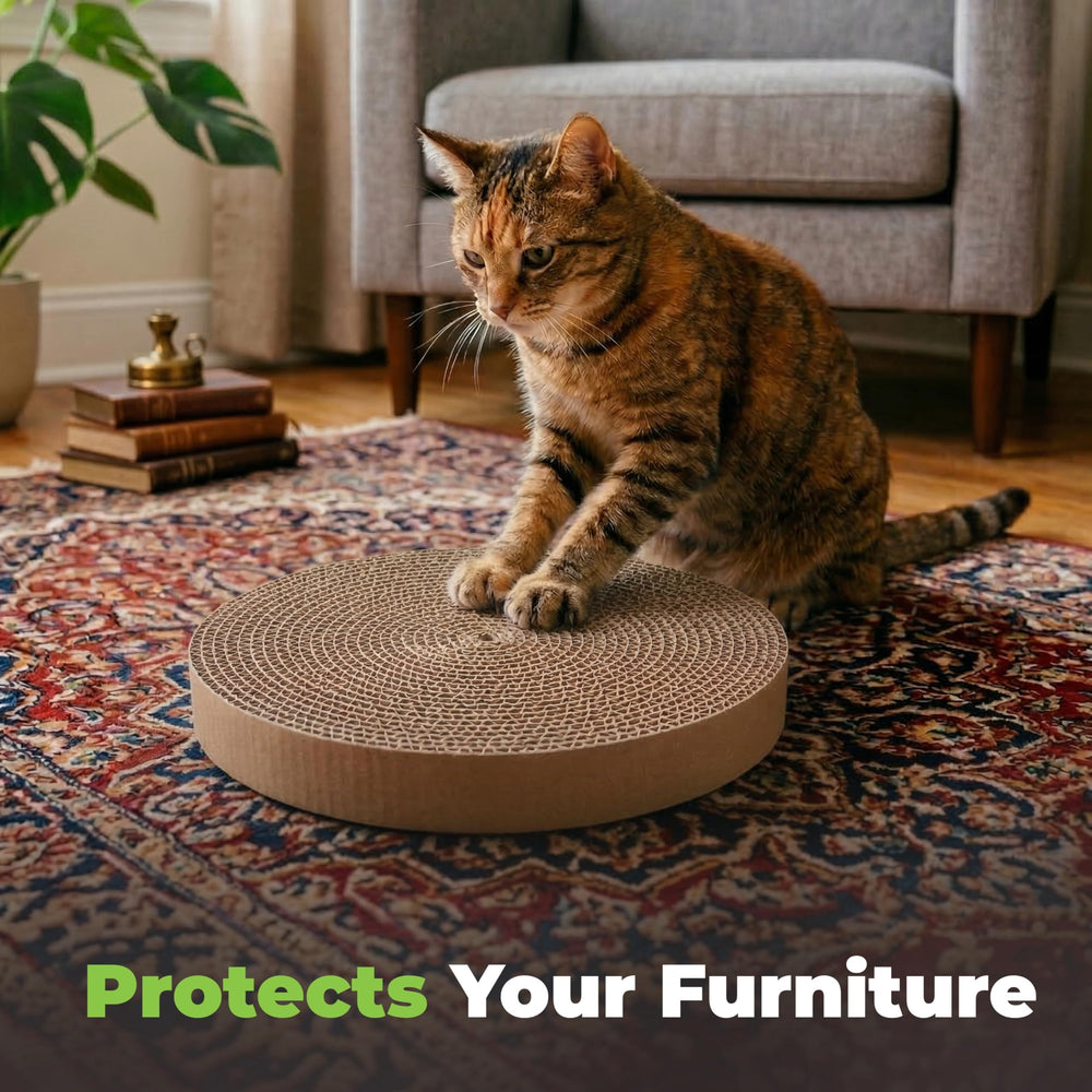 Best Pet Supplies pad en mano para comparar tamaño y facilitar elección