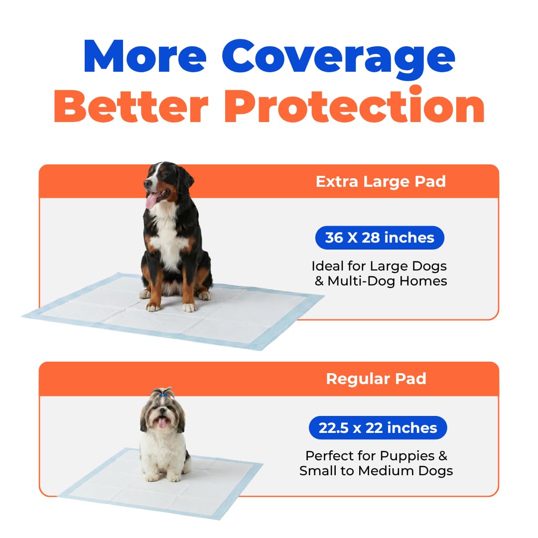 Best Pet Supplies caja abierta con 100 tapetes indicando suministro para entrenamientos
