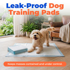 Best Pet Supplies textura de superficie en primer plano que acelera el secado y evita rastros