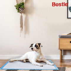 BESTLE waterproof backing detail protecting floor from leaks and stains