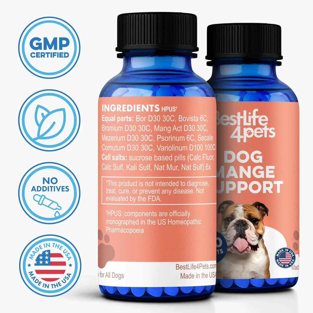 BestLife4Pets mascota y familia tranquila usando suplemento para cuidado cutáneo