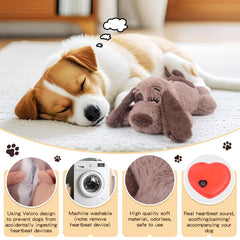 BEVERLYSHARK cachorro durmiendo con juguete reduce ansiedad