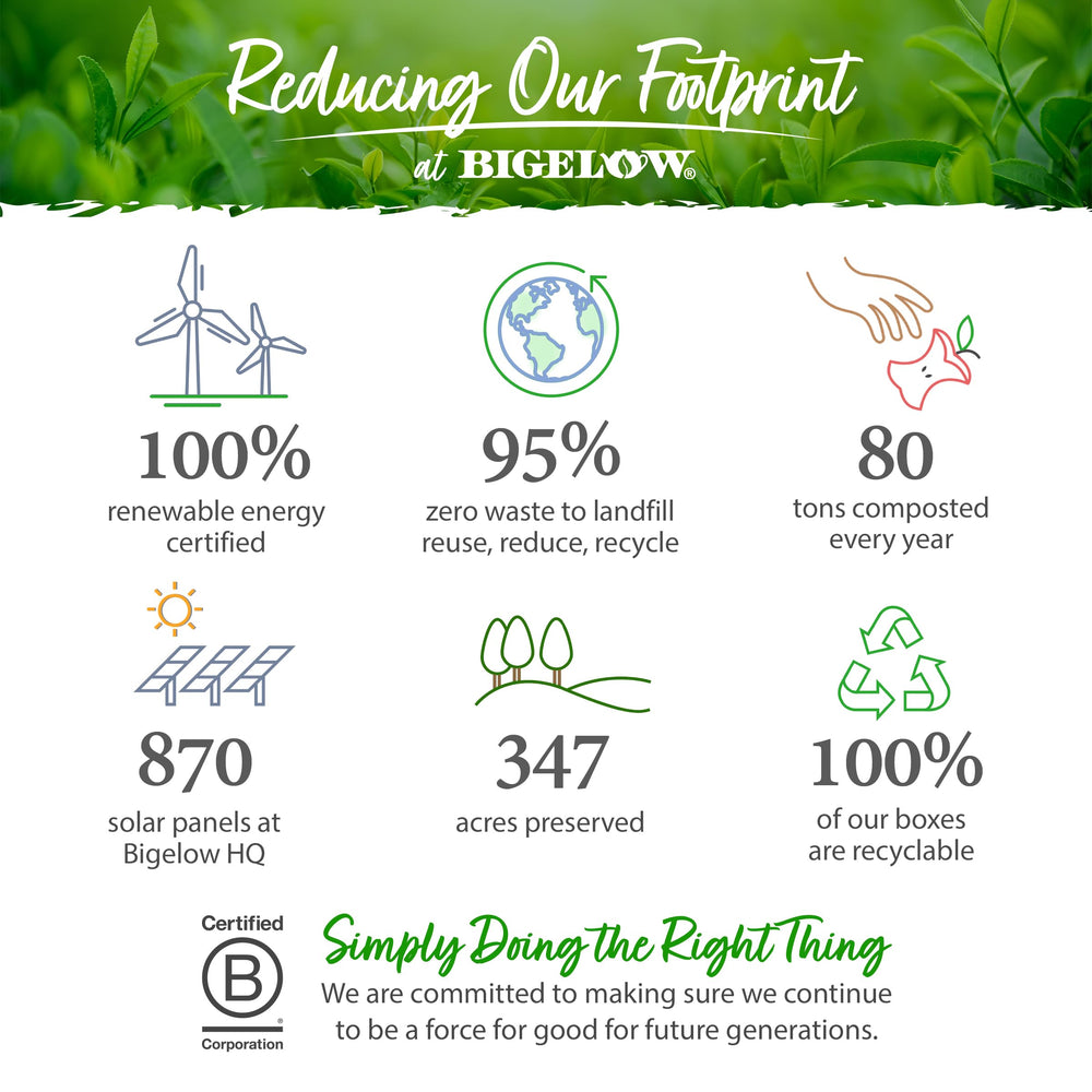 Bigelow Tea mezcla de frutas y hierbas usadas, fotografía de ingredientes naturales y perfil aromático