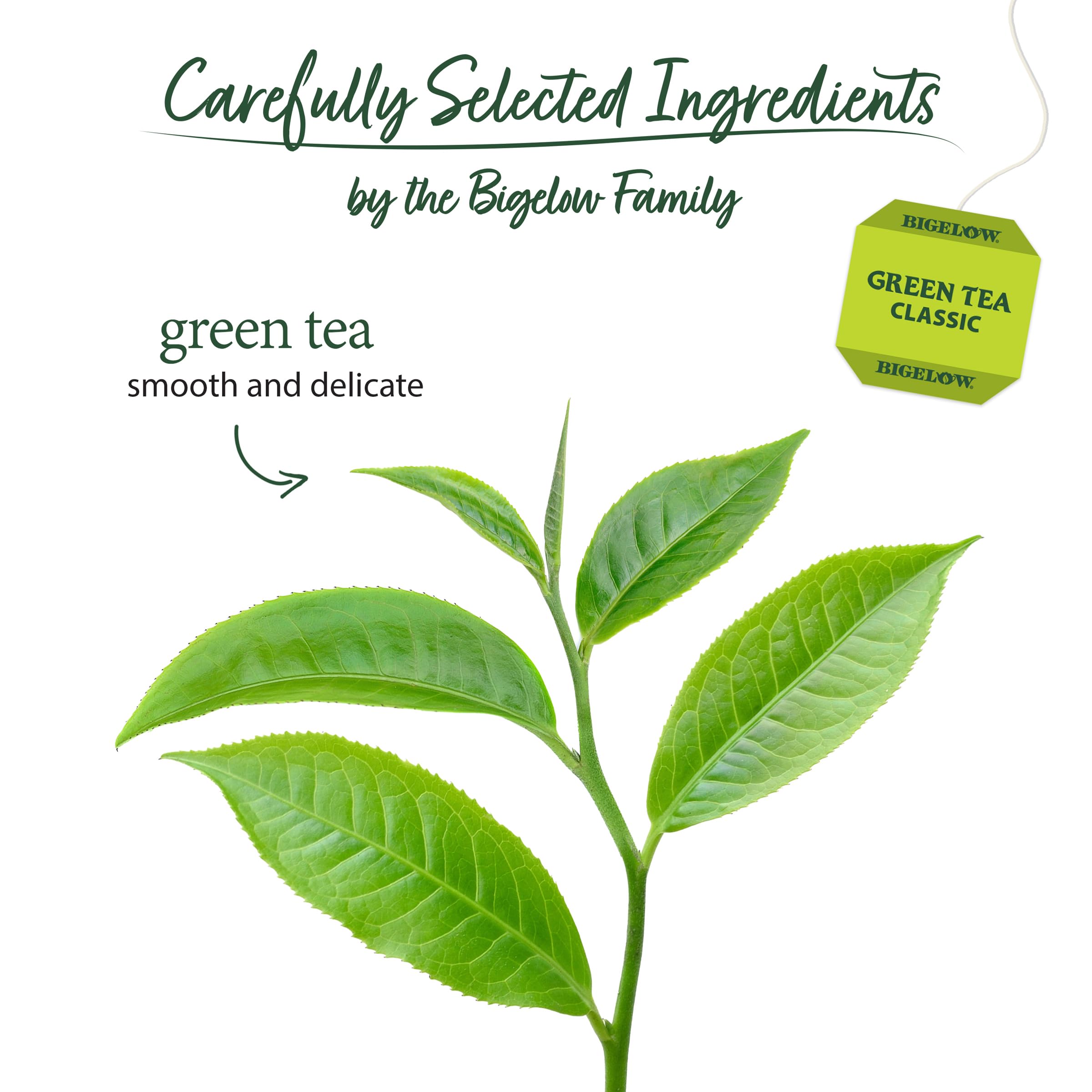 Bigelow hojas de té verdes en detalle indicando calidad seleccionada
