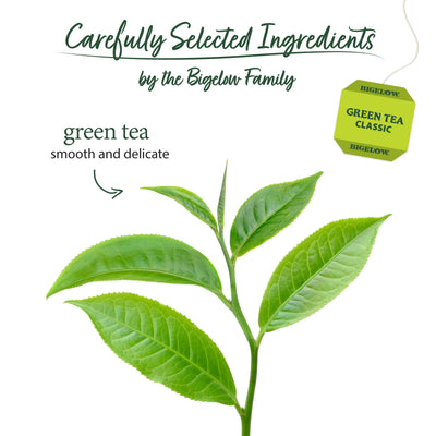 Bigelow hojas de té verdes en detalle indicando calidad seleccionada