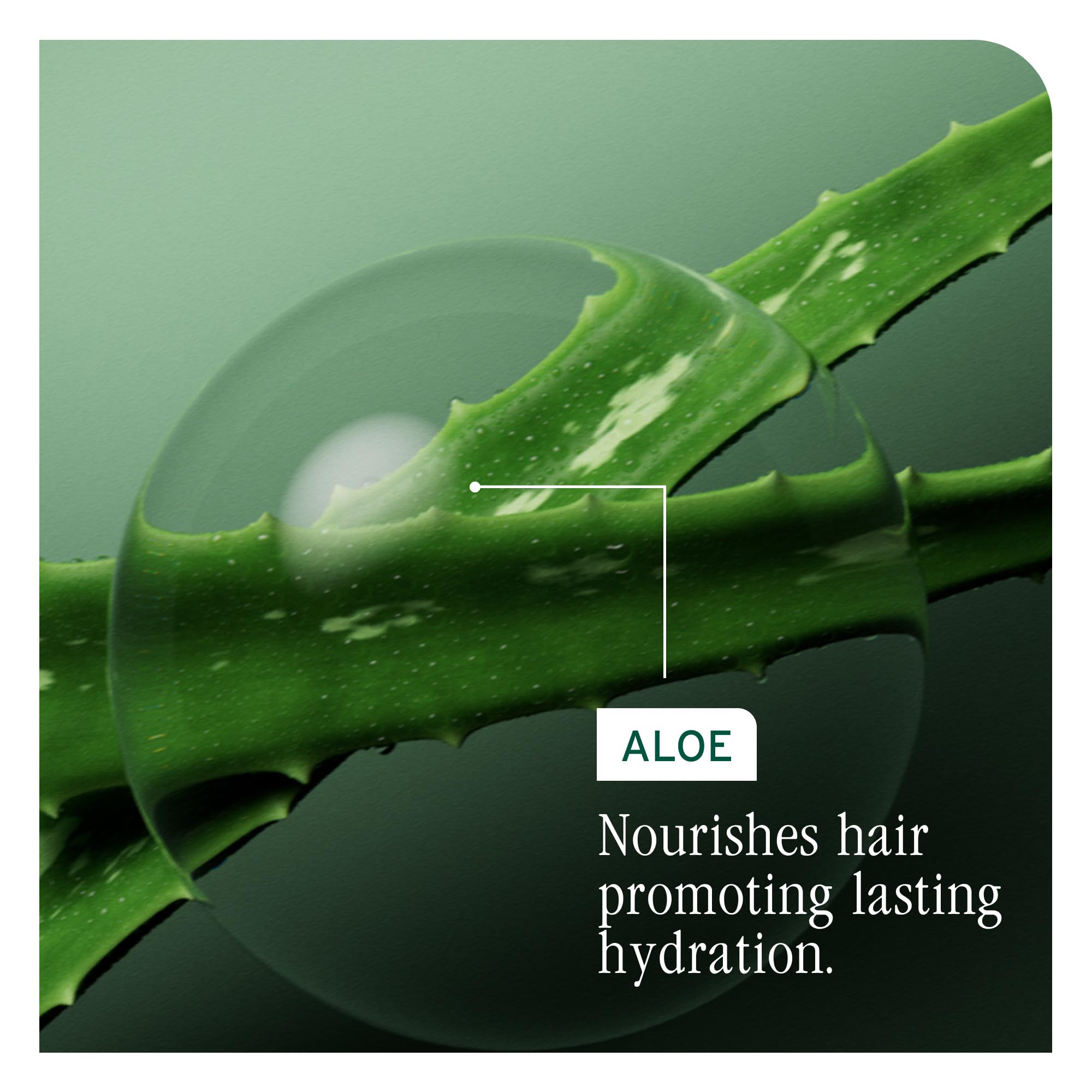 Biolage botella reciclada sobre mesa mostrando compromiso sostenible