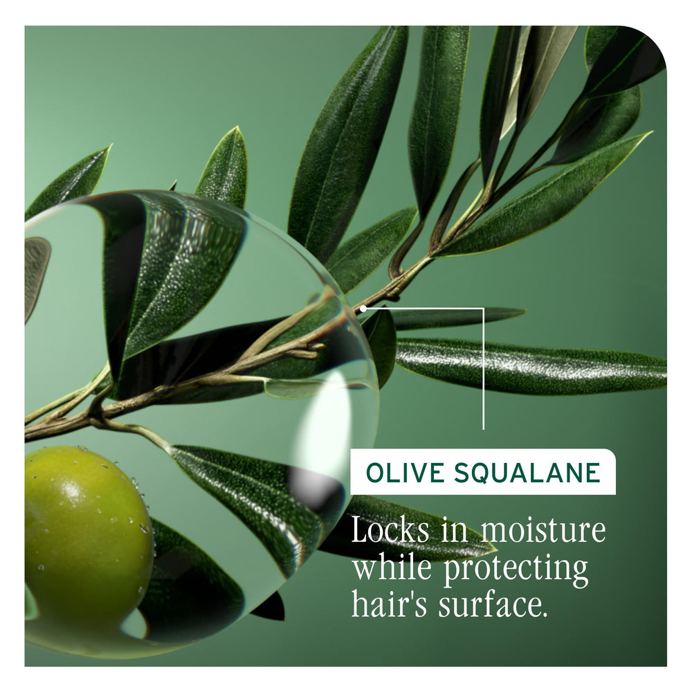 Biolage comparación de tamaño 13.5 oz para referencia visual