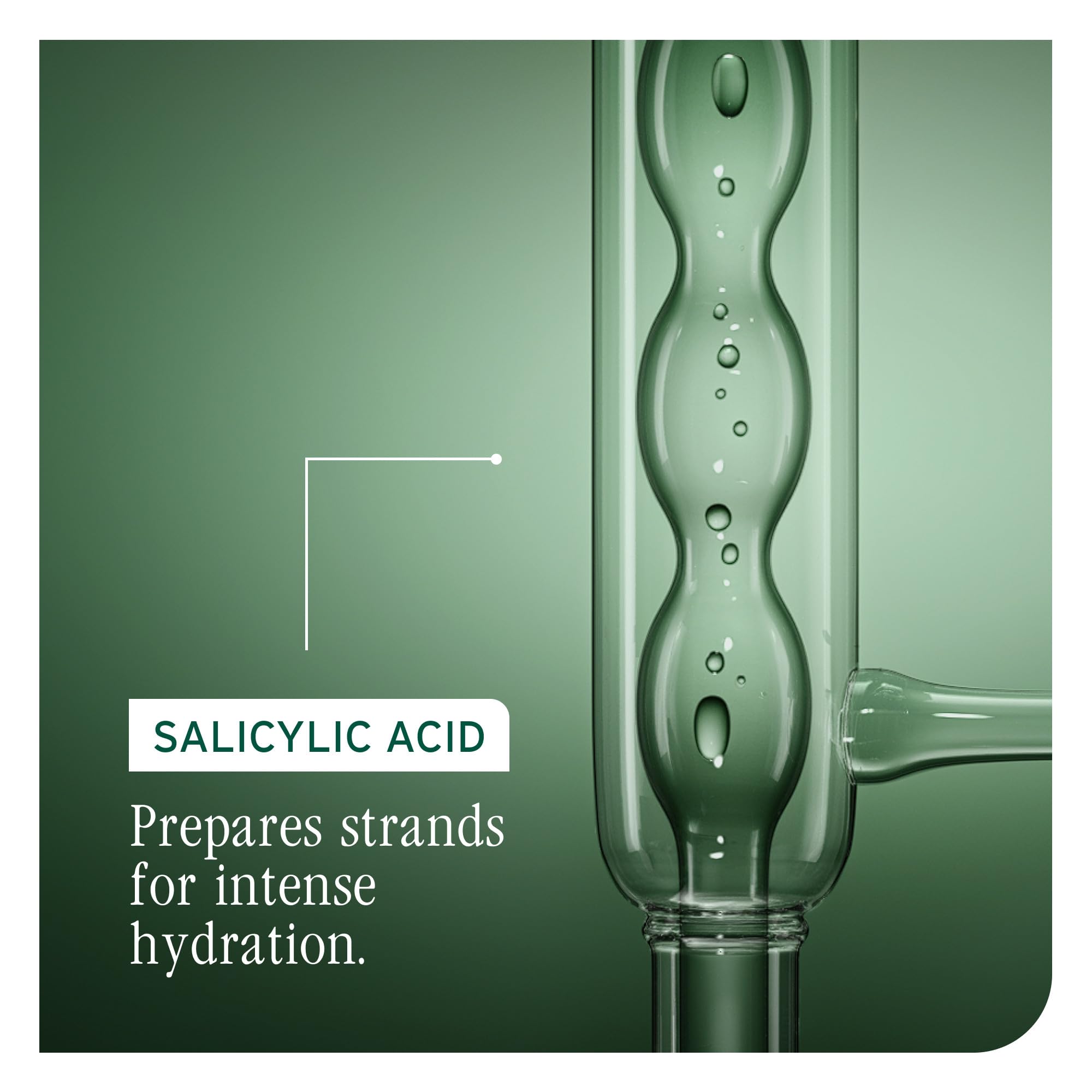 Biolage ingredientes naturales: aloe y cupuaçu para retener humedad