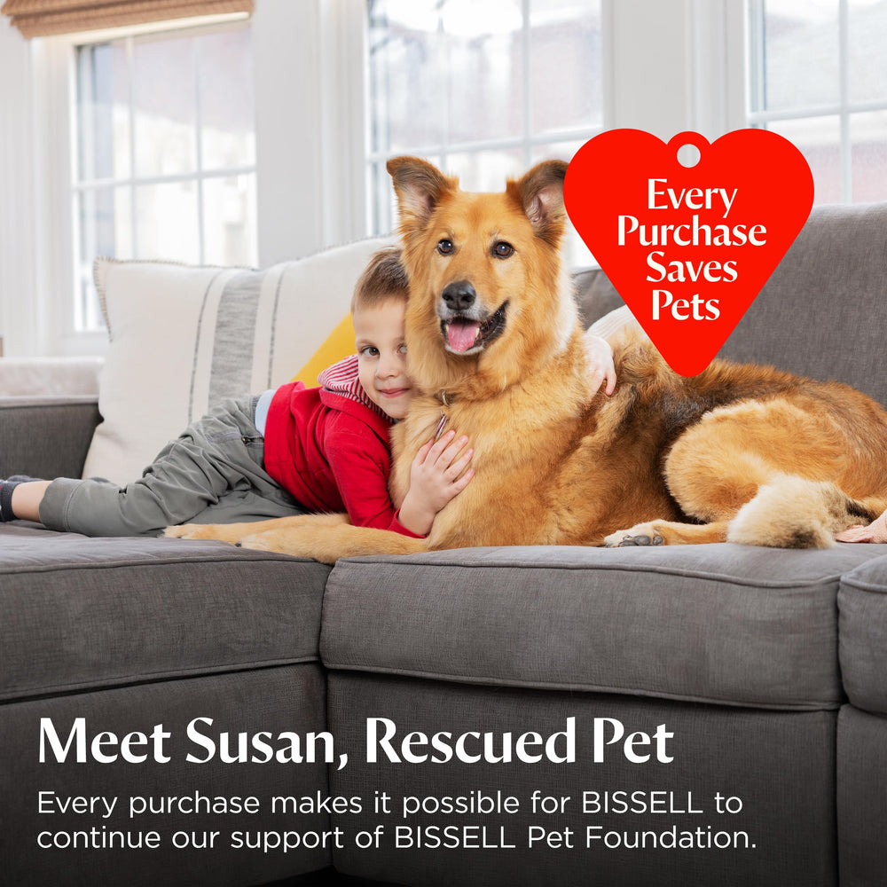 Bissell in home with dog showing fresh floors and odor control benefit
