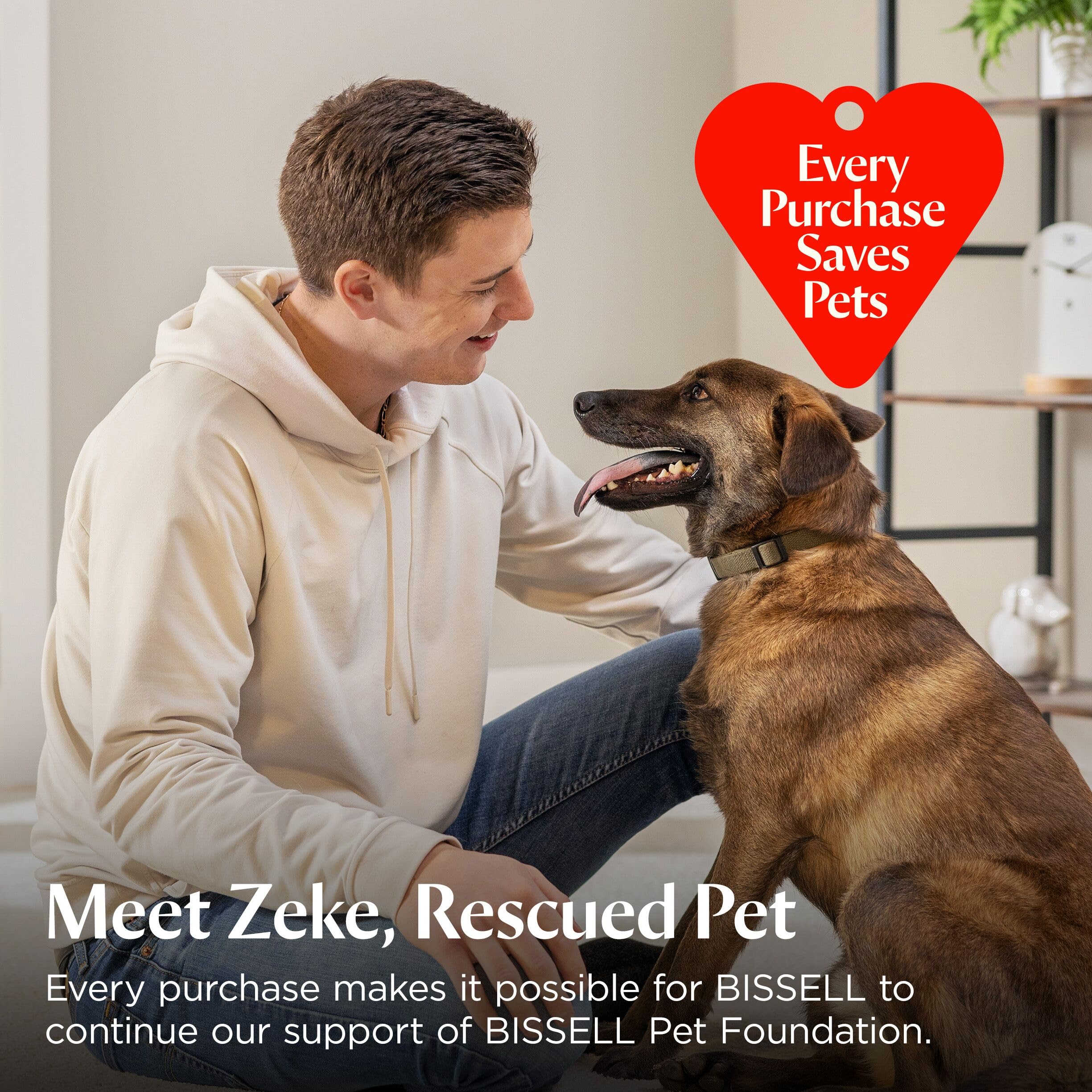 Bissell product staged in pet-friendly living room creating fresher home