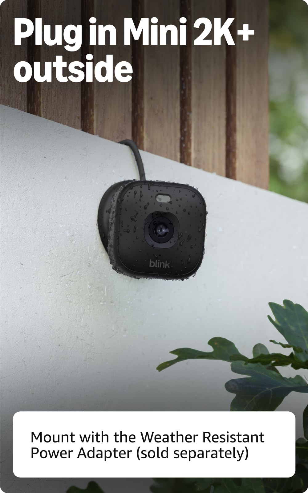 Blink Mini 2K+ comparación de tamaño para entender escala compacta
