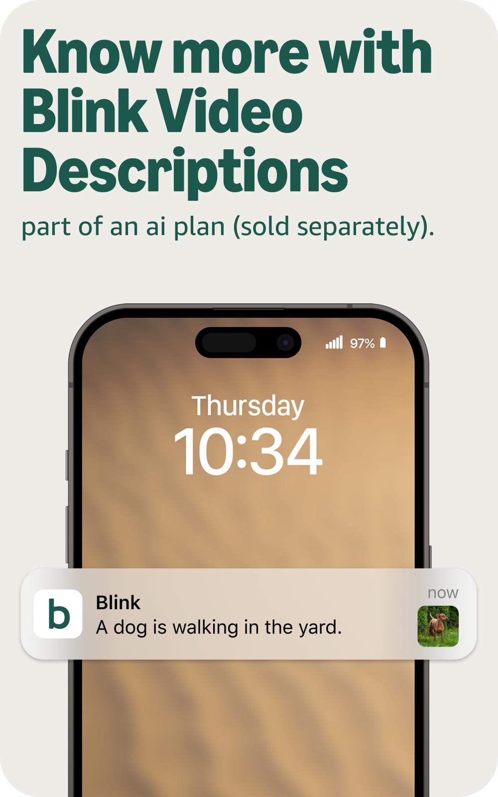 Blink Mini 2K+ contenido de la caja con accesorios incluidos y listos