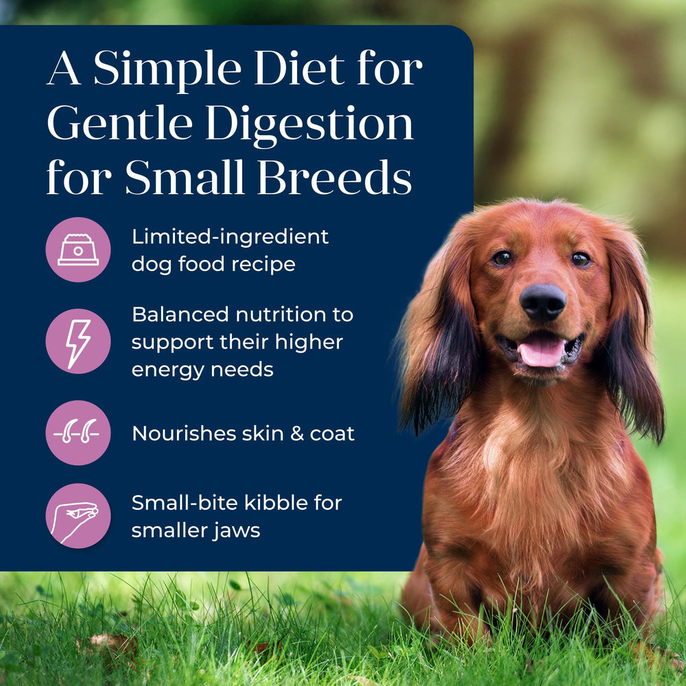 Blue Buffalo LifeSource Bits detallados que aportan antioxidantes esenciales