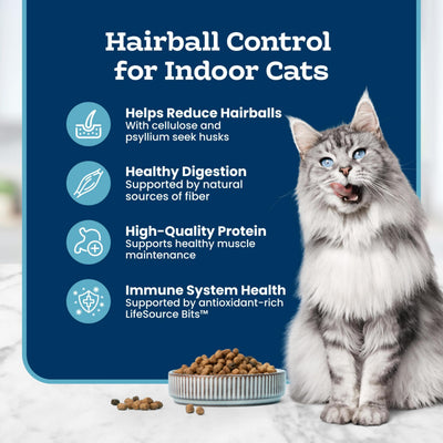 Blue Buffalo cat eating in kitchen showing satisfied picky eater