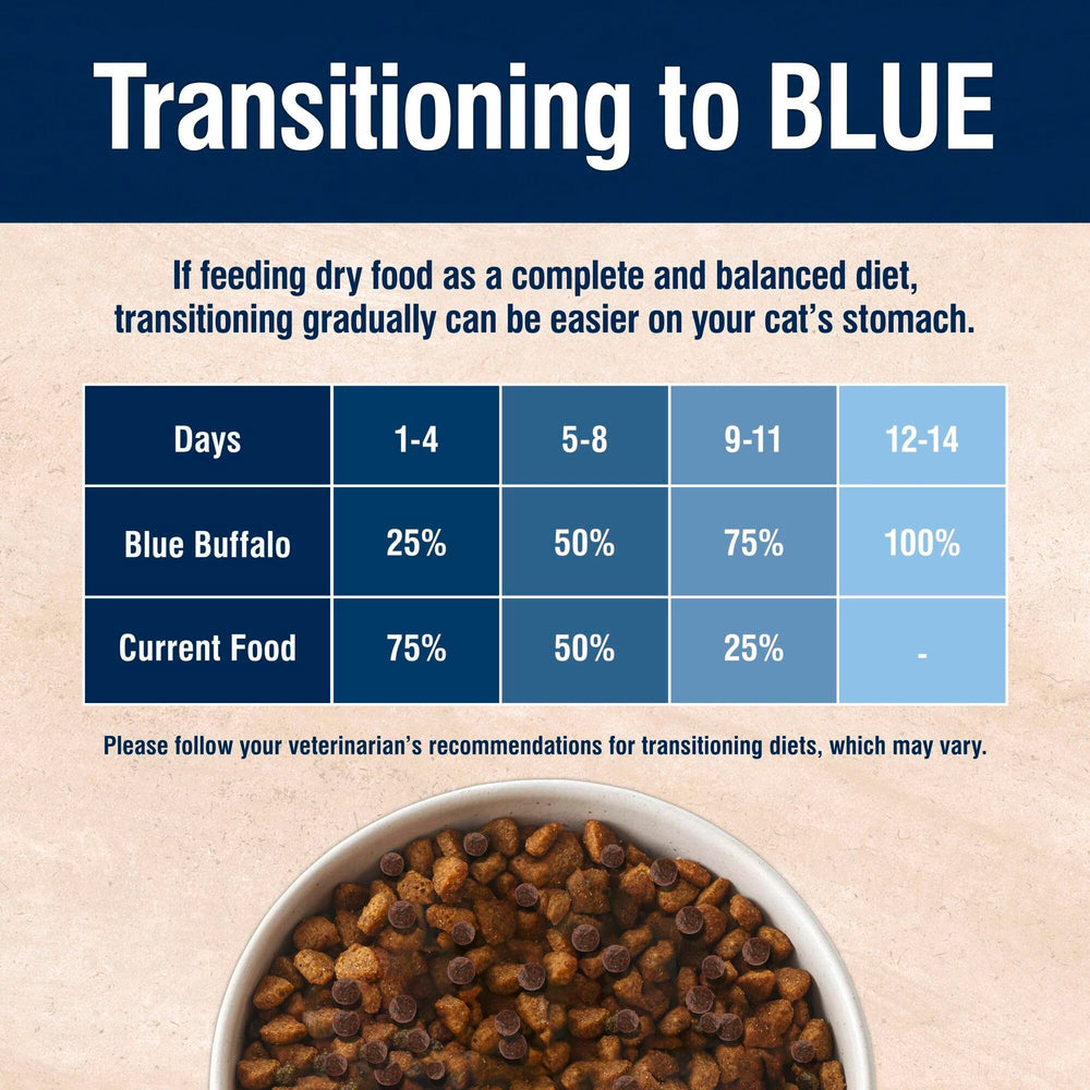 Blue Buffalo gato comiendo del plato, imagen de uso que sugiere aceptación