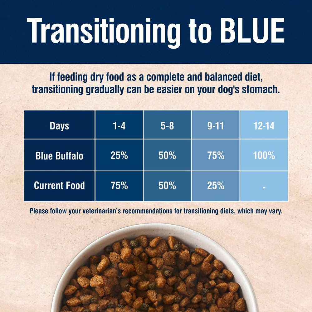 Blue Buffalo perro con pelaje brillante tras alimentación consistente con beneficios visibles