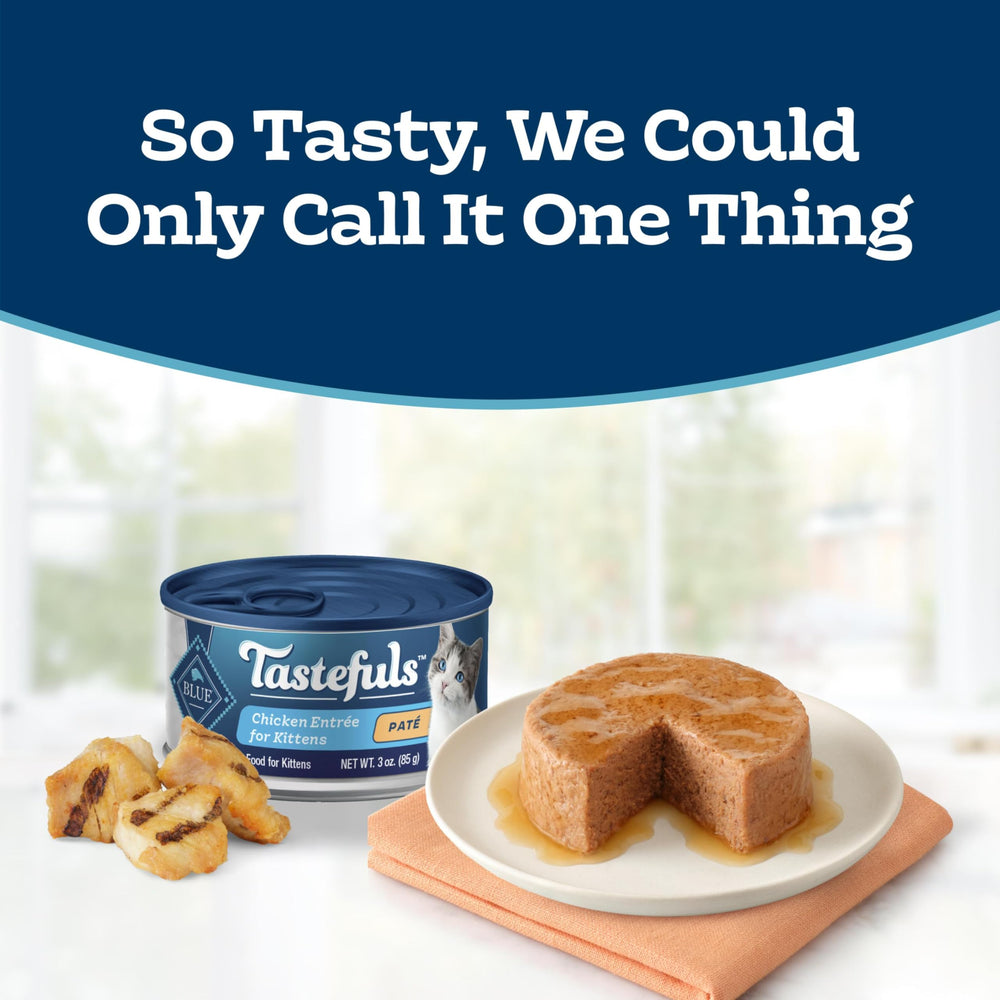 Open can texture close-up of Blue Buffalo pate showing smooth, moist texture