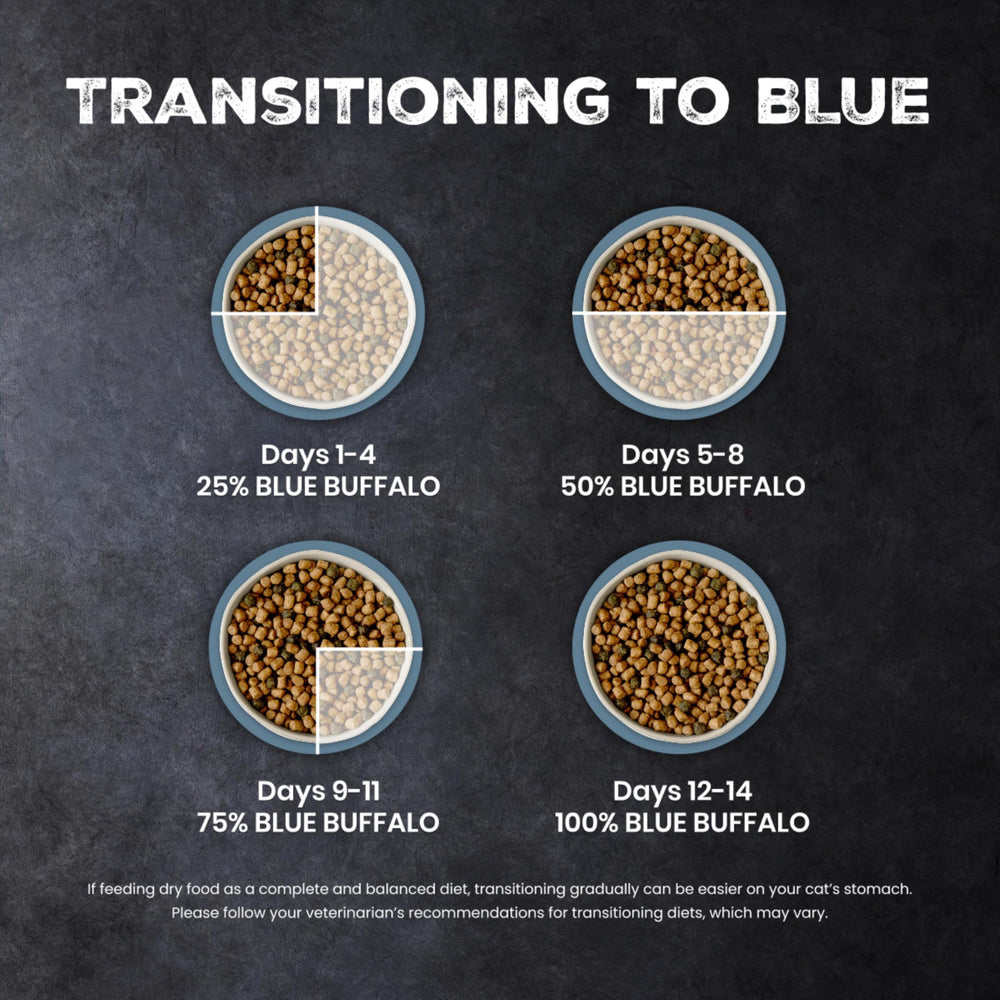 Blue Buffalo mano sosteniendo croqueta para apreciar tamaño y consistencia