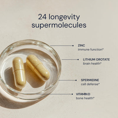 Blueprint Bryan Johnson ingredients flatlay with plant-based sources showing clean formulation benefit