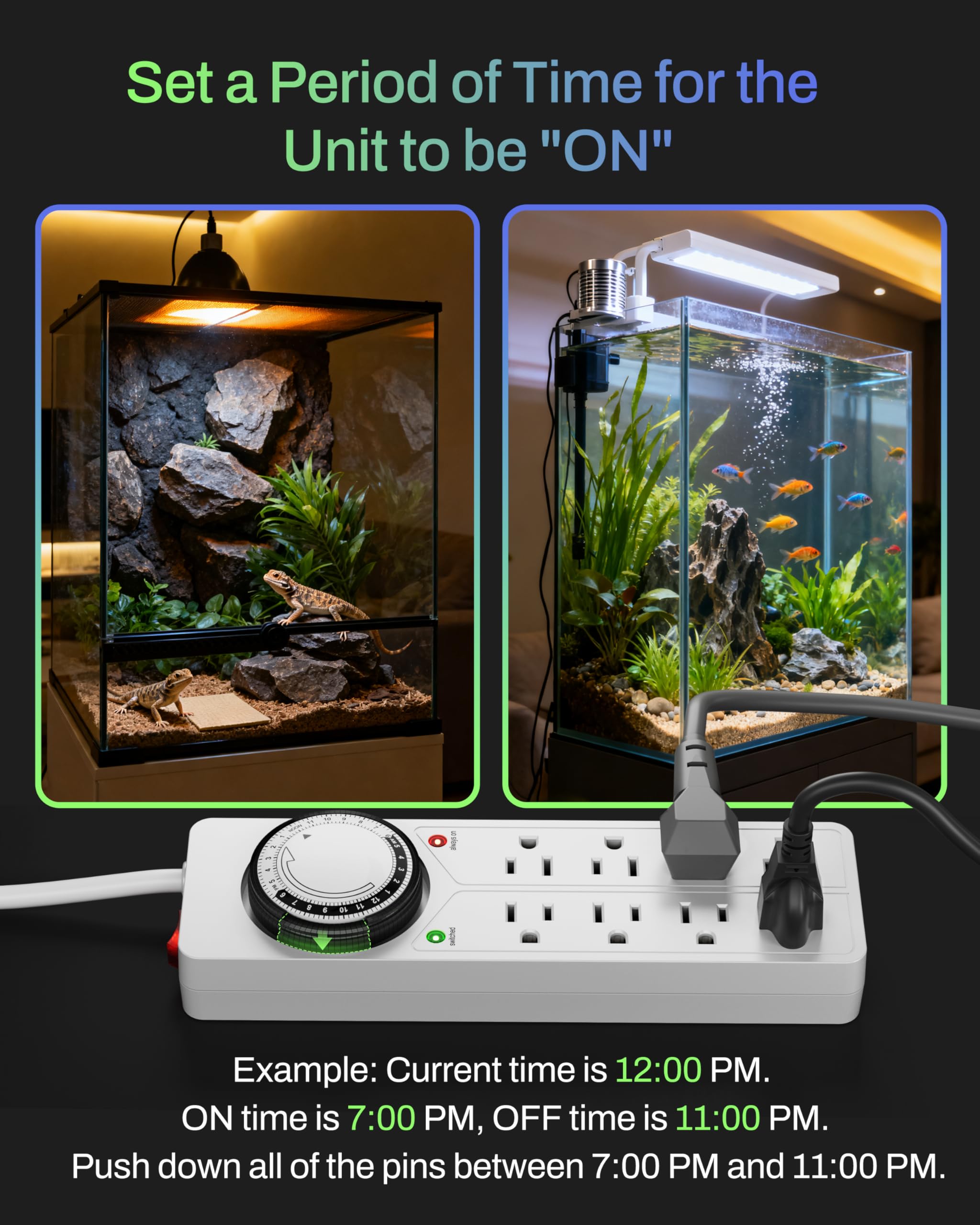 BN-LINK cable de 4ft para escala y posicionamiento flexible en interiores