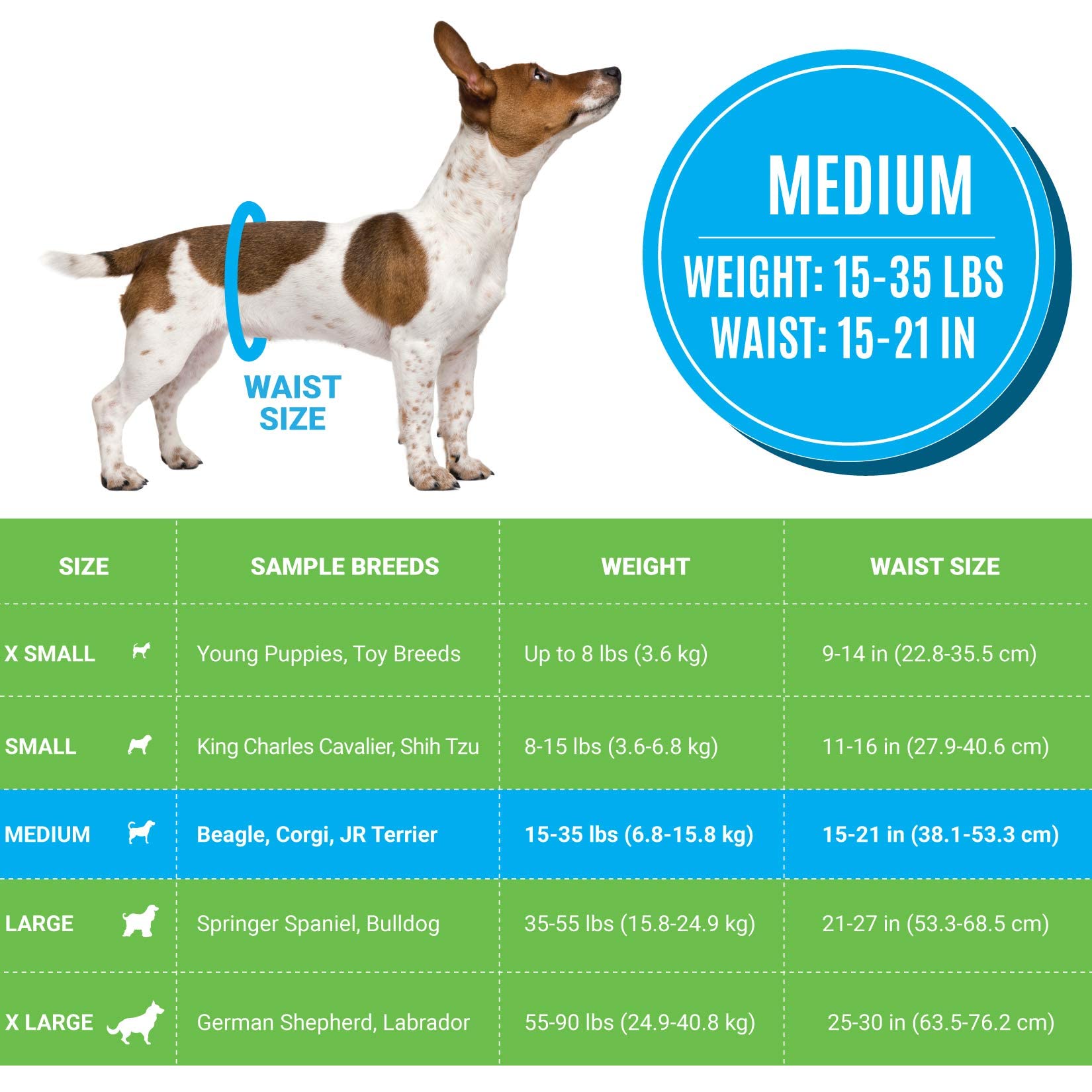 Bodhi Dog primer plano del núcleo que gelifica para mantener seco al perro