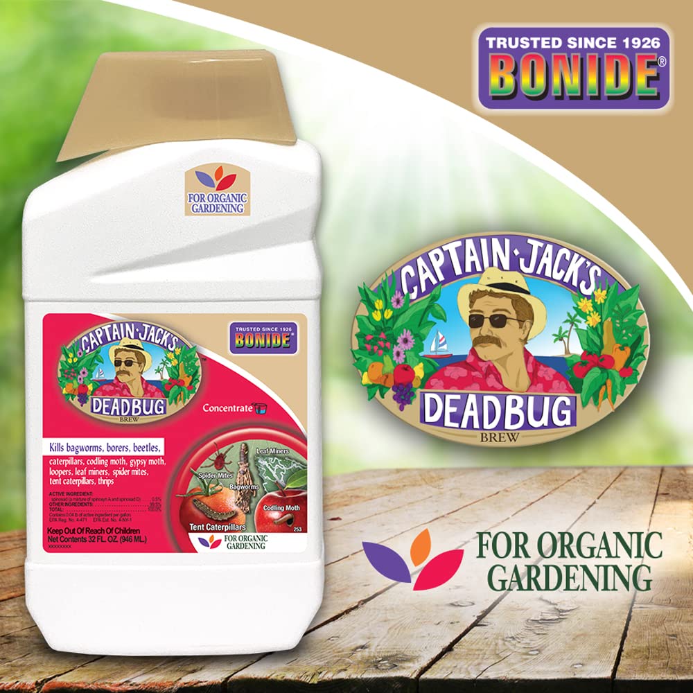 Comparación de tamaño del envase Bonide Deadbug Brew junto a una regla