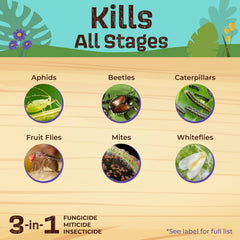 Bonide spraying vegetables demonstrating pest control and safe-on-edibles benefit