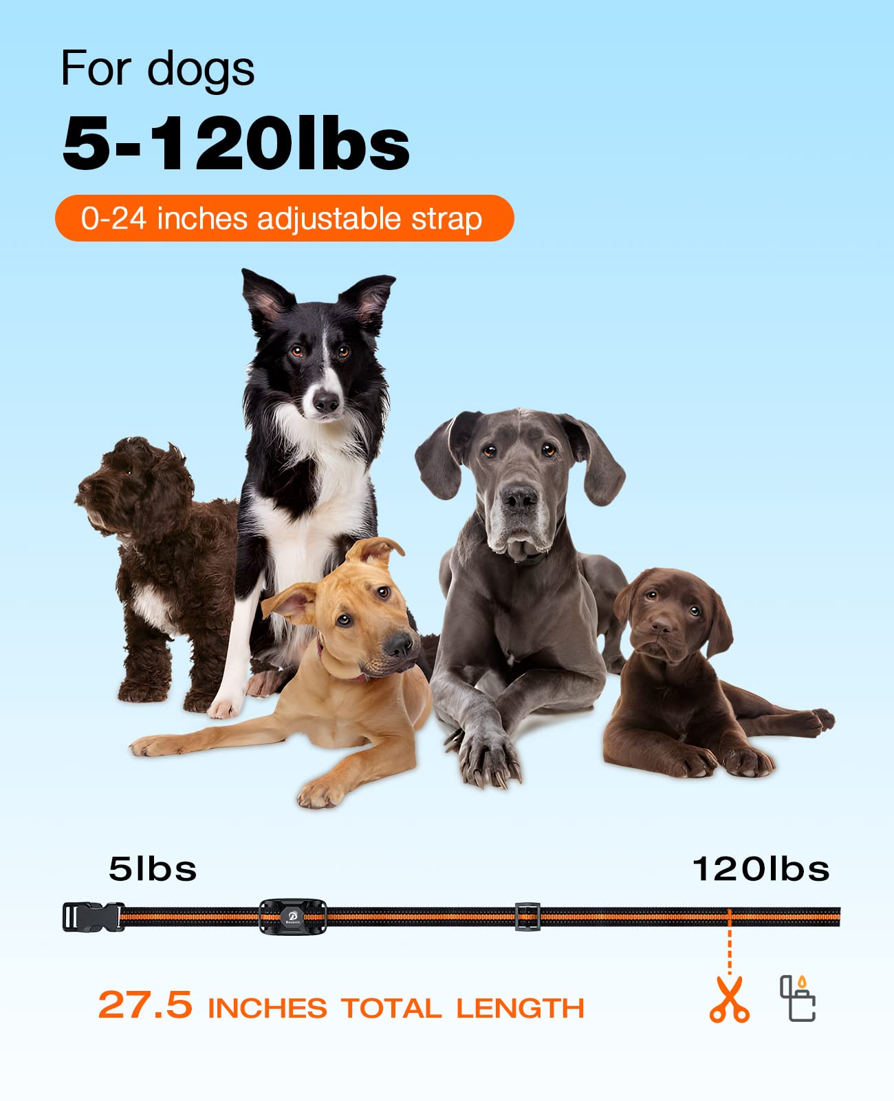 BOUSNIC collar colocado en perro pequeño mostrando ajuste seguro y comodidad