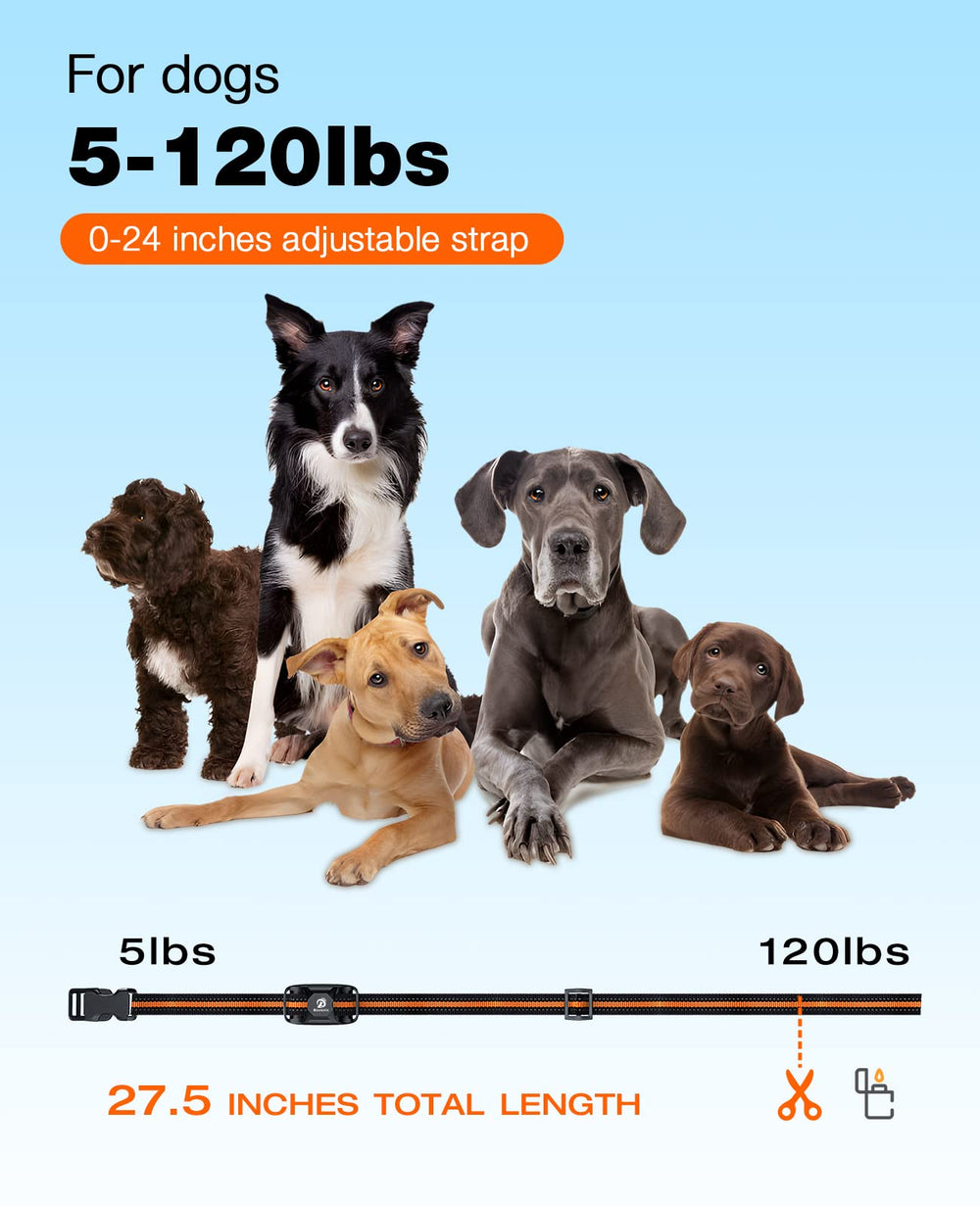 BOUSNIC collar colocado en perro pequeño mostrando ajuste seguro y comodidad