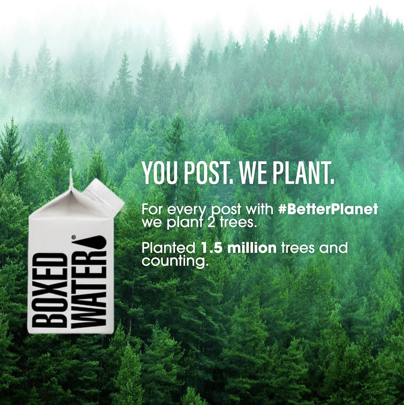 BOXED WATER IS BETTER comparación de tamaño en mano, porción fácil de llevar