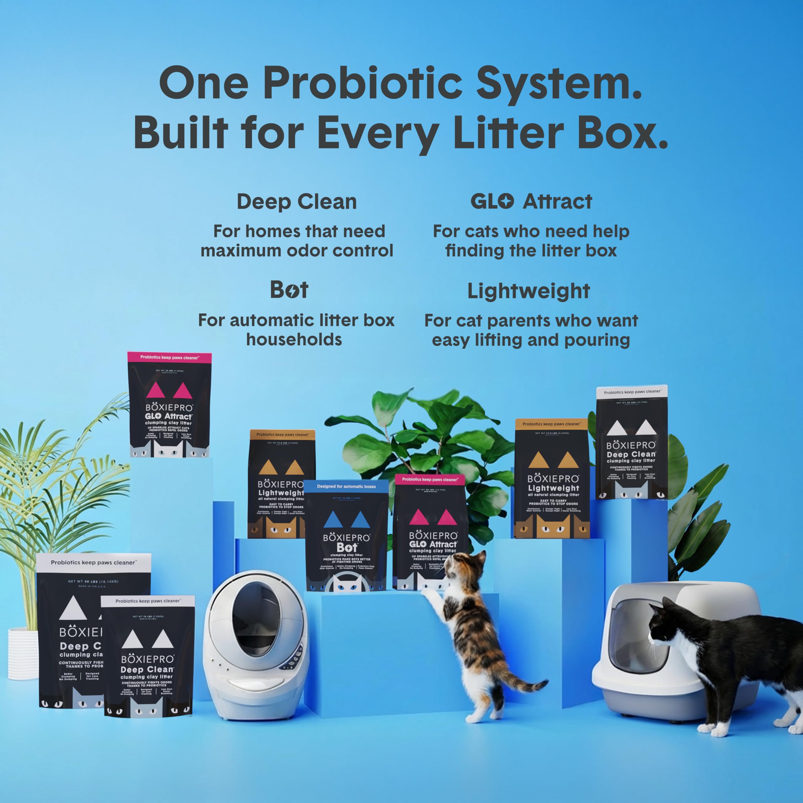 BoxiePro lifestyle scene in kitchen showing odor control and home-friendly benefit
