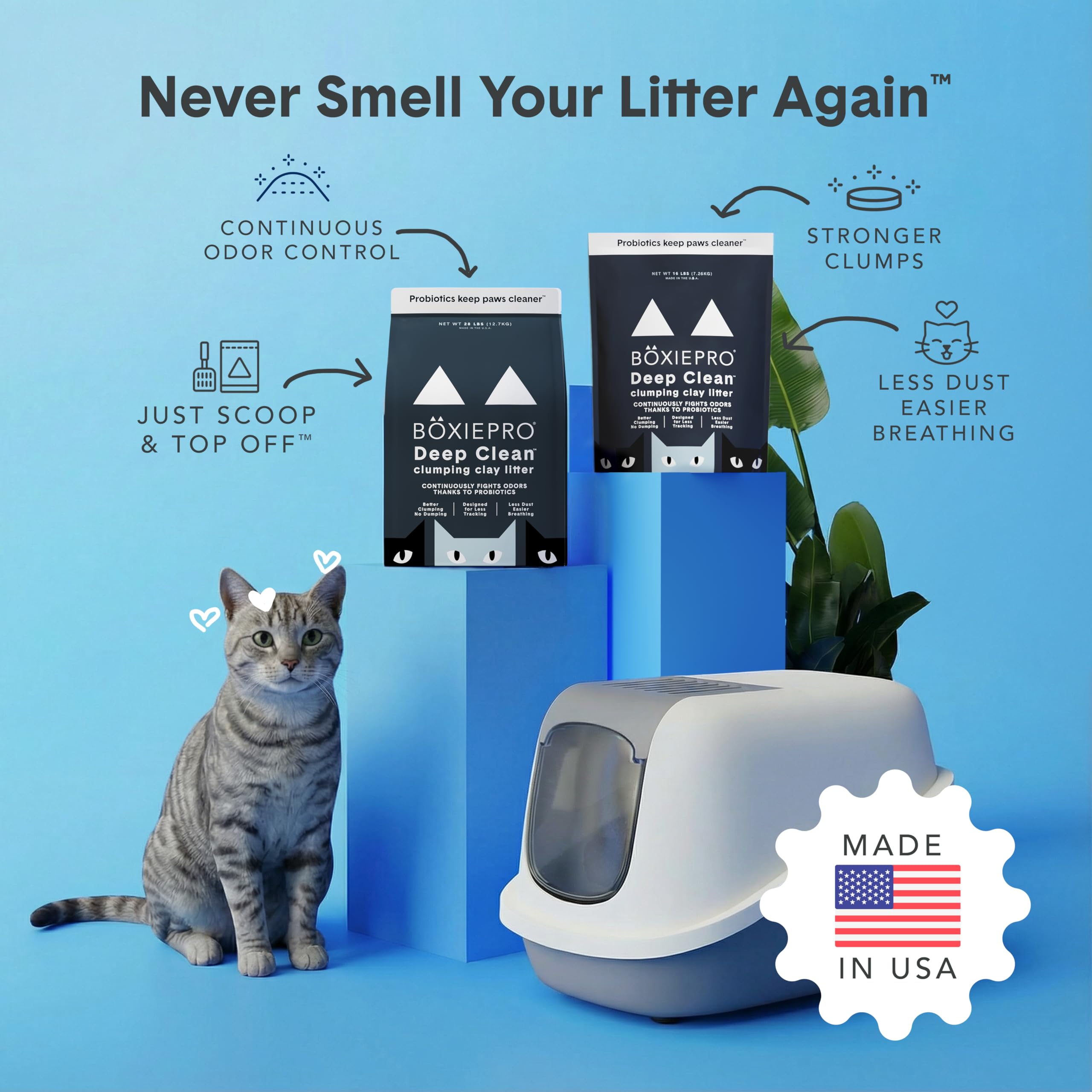 BoxiePro litter in tray setup showing compatibility with various boxes benefit