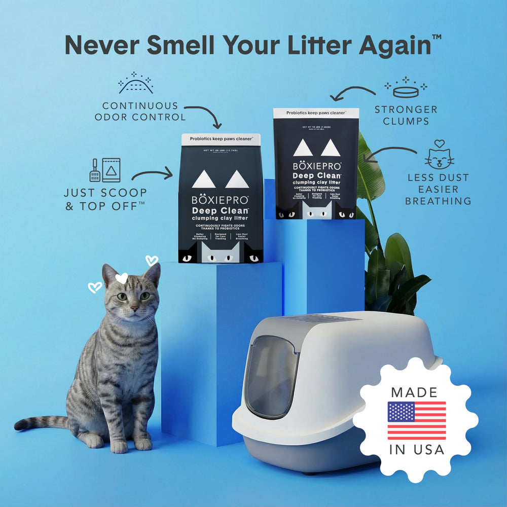 BoxiePro litter in tray setup showing compatibility with various boxes benefit
