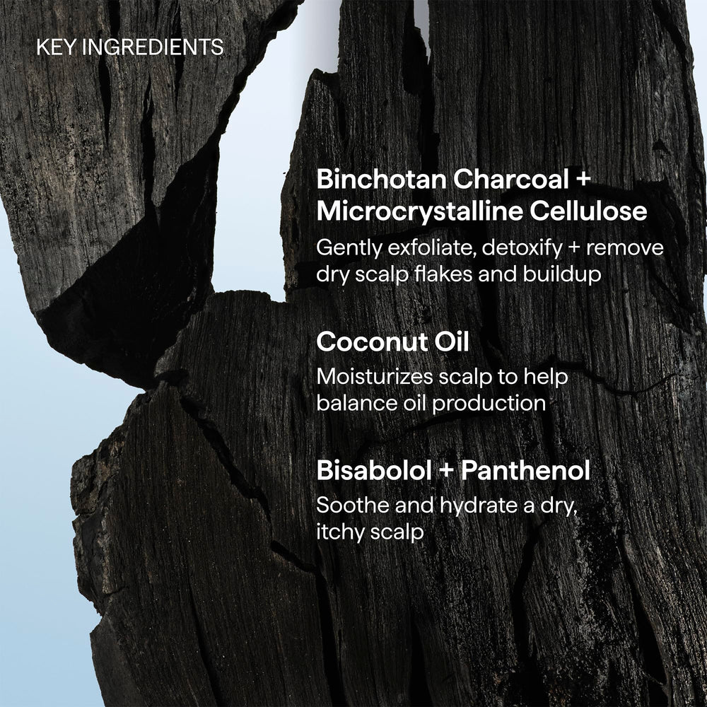 Briogeo ingredientes clave carbón y aceite de coco juntos en primer plano