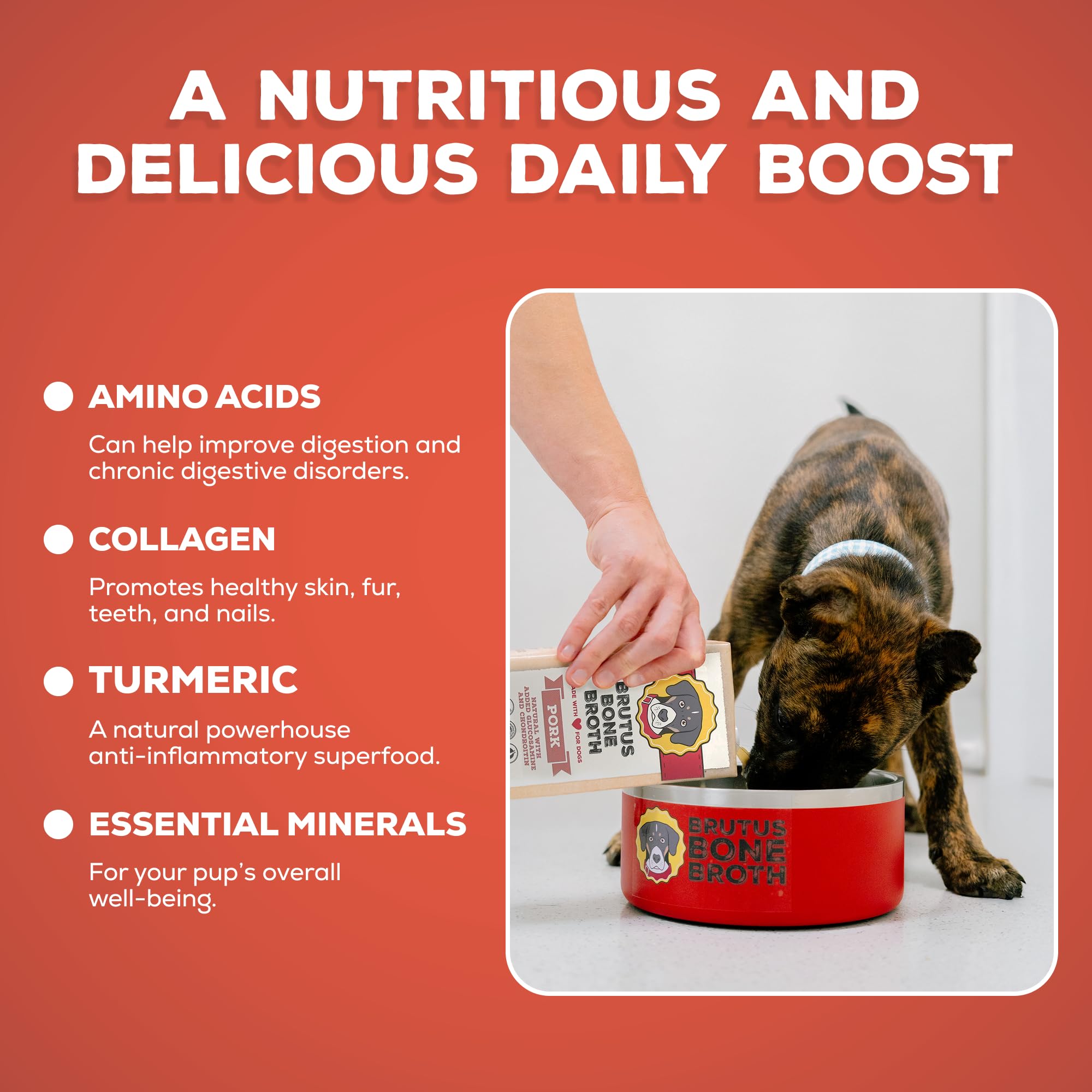 Brutus Bone Broth etiqueta con lista de ingredientes humanos y sin gluten