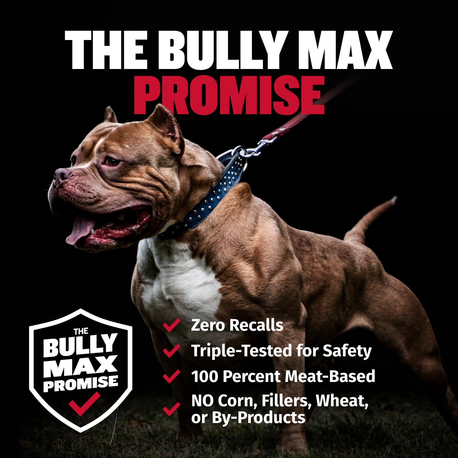Bully Max cachorro aceptando tableta, sabor atractivo y fácil uso