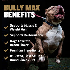 Bully Max textura de la chuche blanda para fácil masticación y administración
