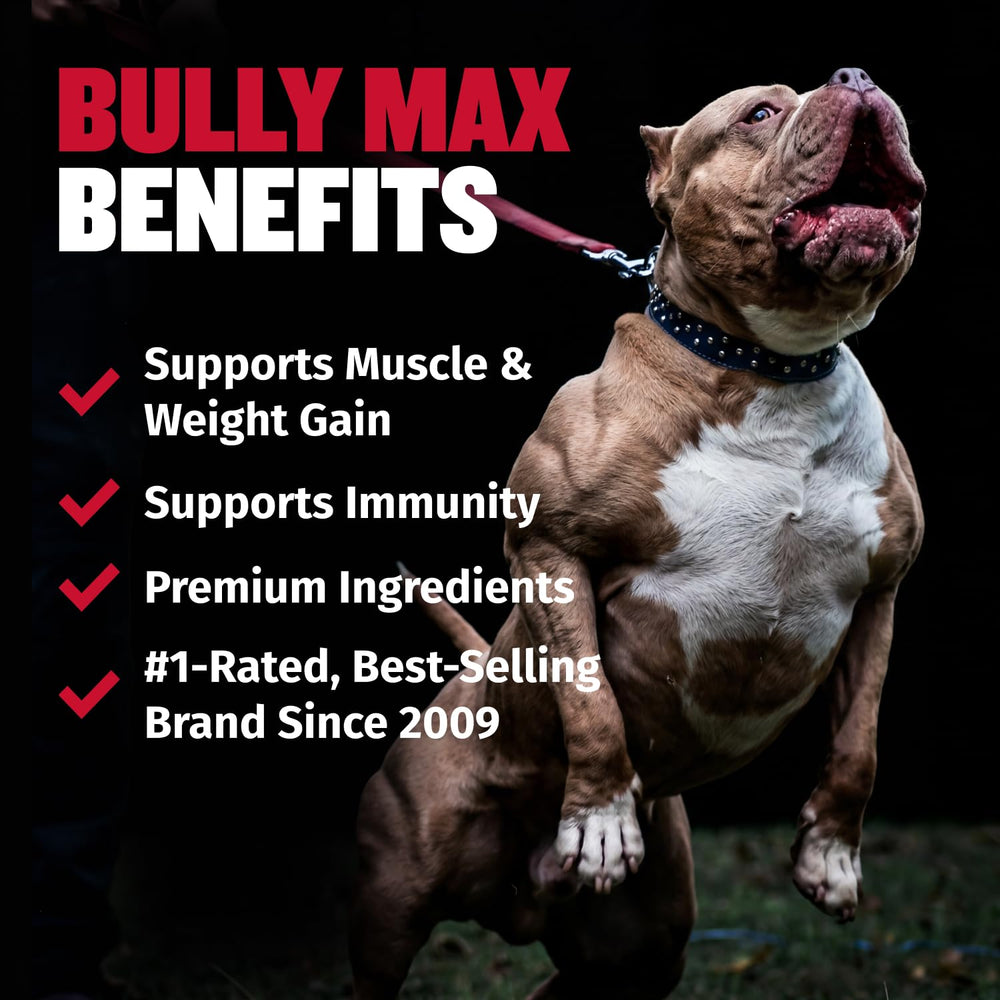 Bully Max tabletas masticables detalle de textura y apariencia apetitosa