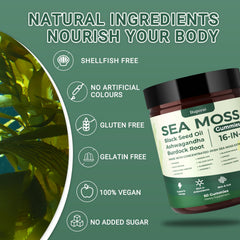Buporai ingredientes clave collage con sea moss y cúrcuma visibles
