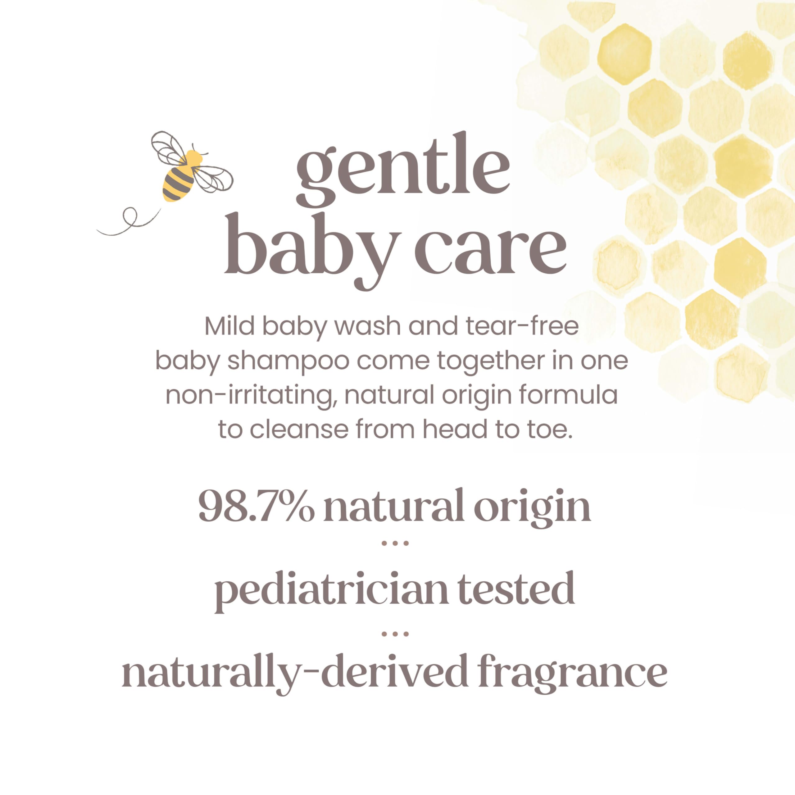 Burt's Bees comparación de tamaño entre refill y frasco de 12 oz