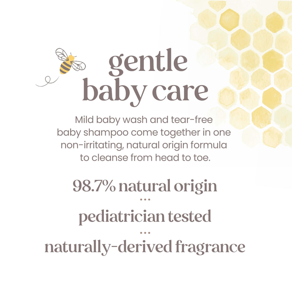 Burt's Bees comparación de tamaño entre refill y frasco de 12 oz