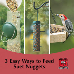 C&S nuggets servidos en plataforma, atraen variedad de aves