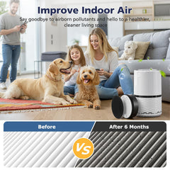 Cabiclean instalación en purificador LEVOIT LV-H-132 para cambio rápido