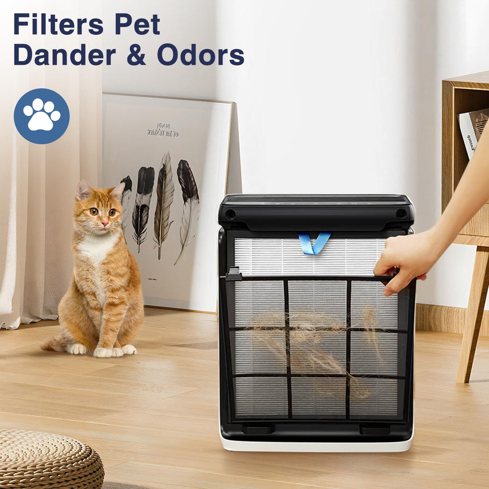 Cabiclean activated carbon layer visible illustrating odor reduction and smoke control