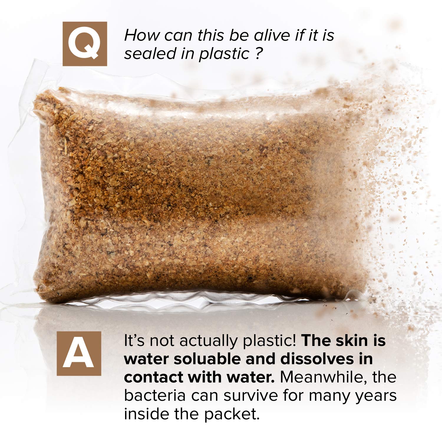 Cabin Obsession bacteria graphic illustrating targeted waste digestion benefit