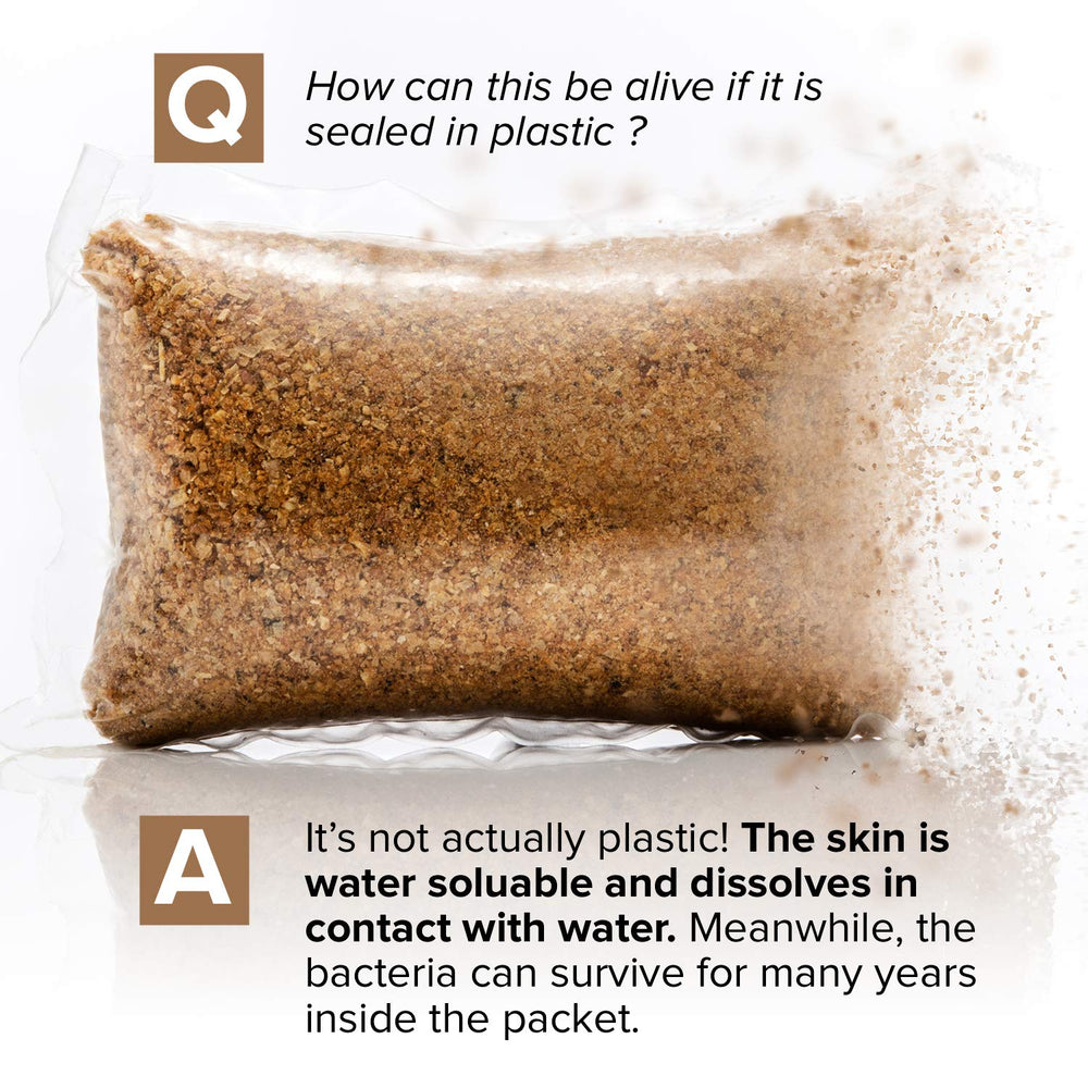 Cabin Obsession bacteria graphic illustrating targeted waste digestion benefit