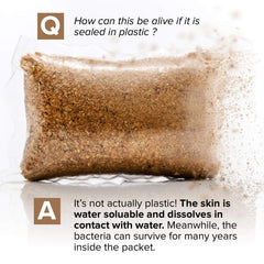 Cabin Obsession bacteria graphic illustrating targeted waste digestion benefit